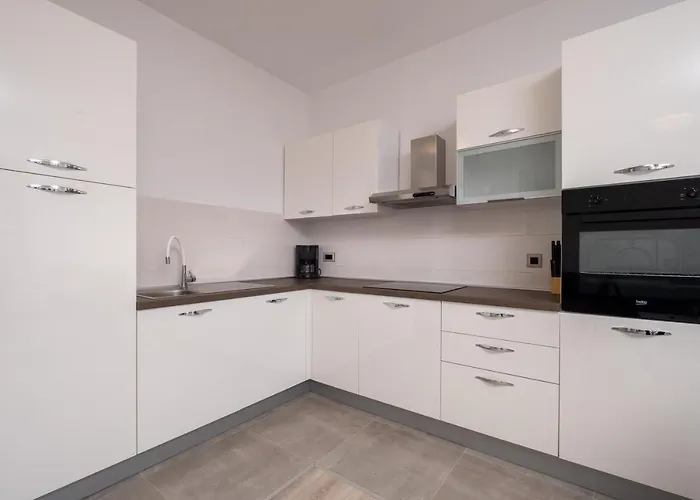 Apartment Stari Ribar *